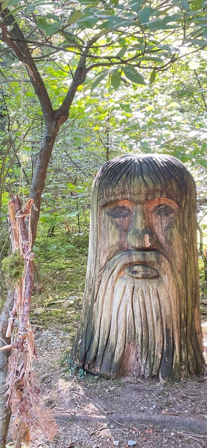 Schöne Orte: Walderlebniszentrum Grafrath